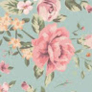 Meet your Posher, Carol